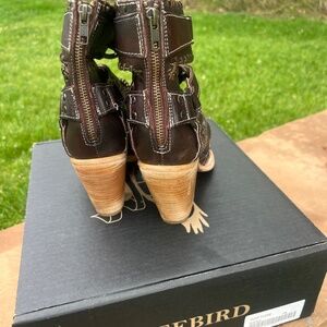 Freebird Rapture shoes